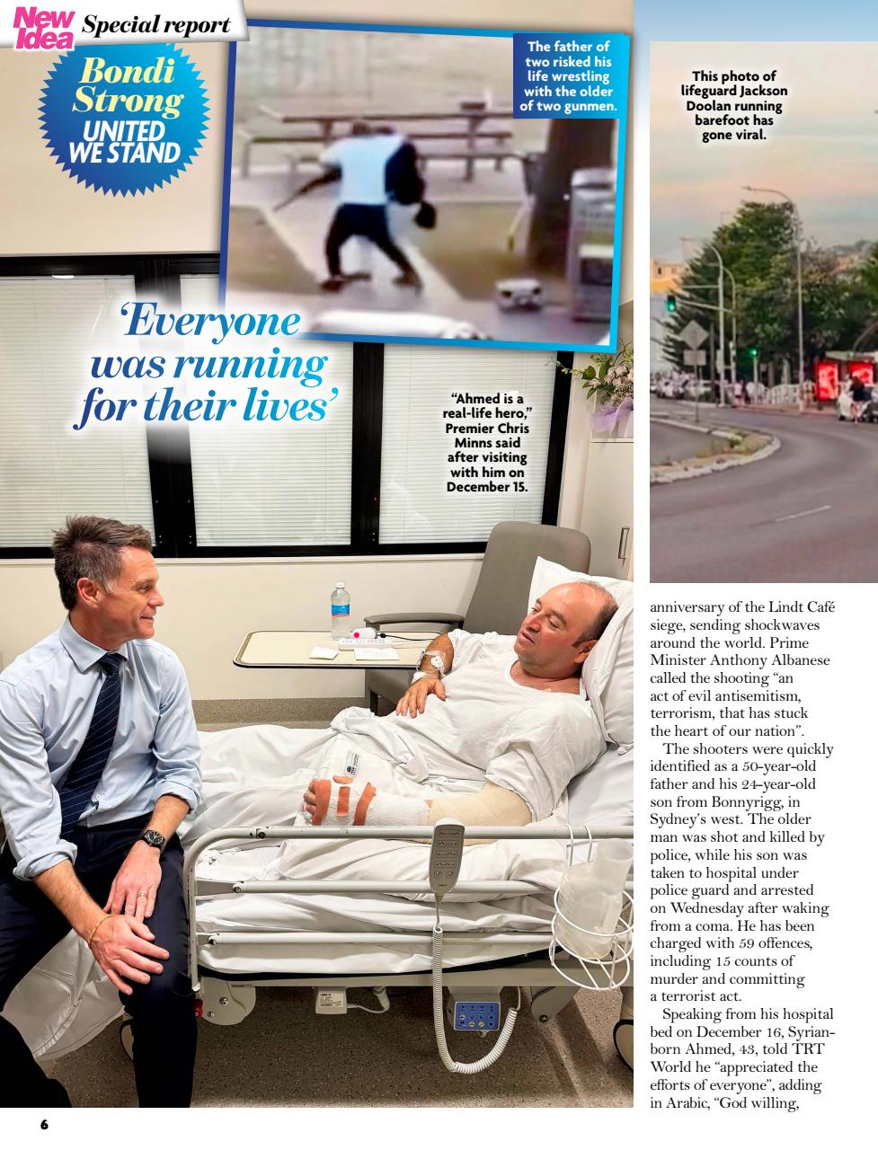 New Idea Preview Pages