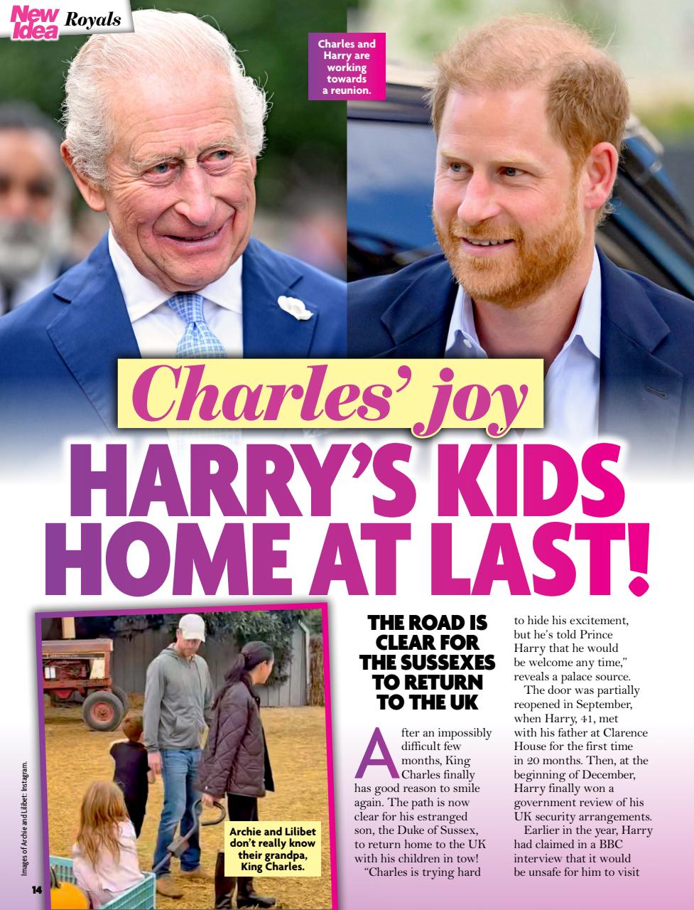 New Idea Preview Pages