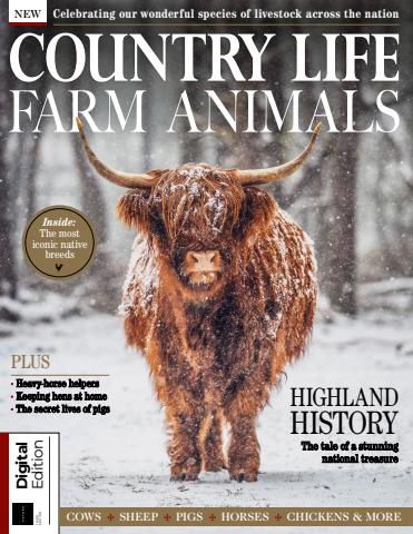 Country Life Bookazine issue Country Life Bookazine