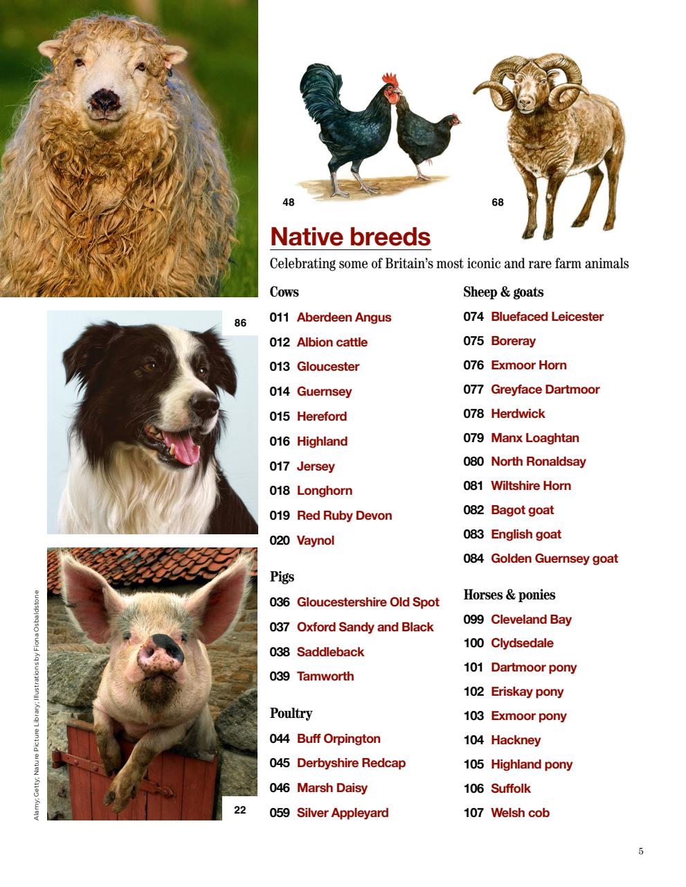 Country Life Bookazine Preview Pages