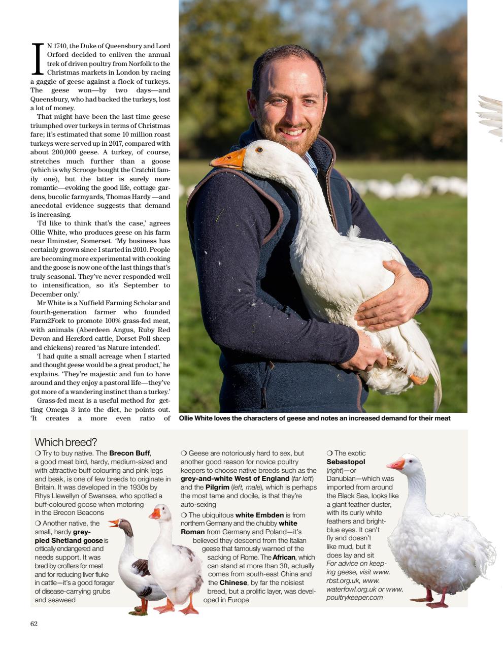 Country Life Bookazine Preview Pages