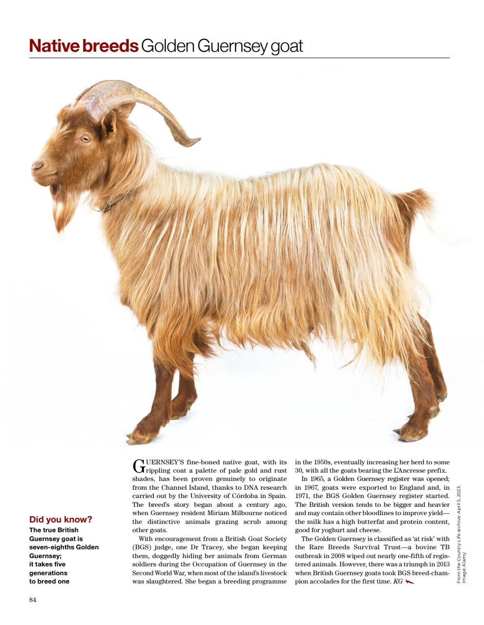 Country Life Bookazine Preview Pages