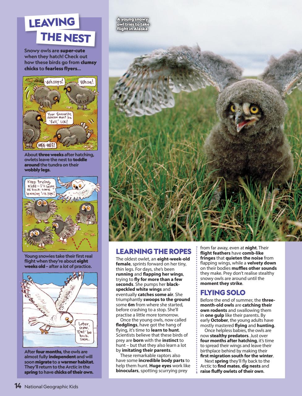 National Geographic Kids Preview Pages