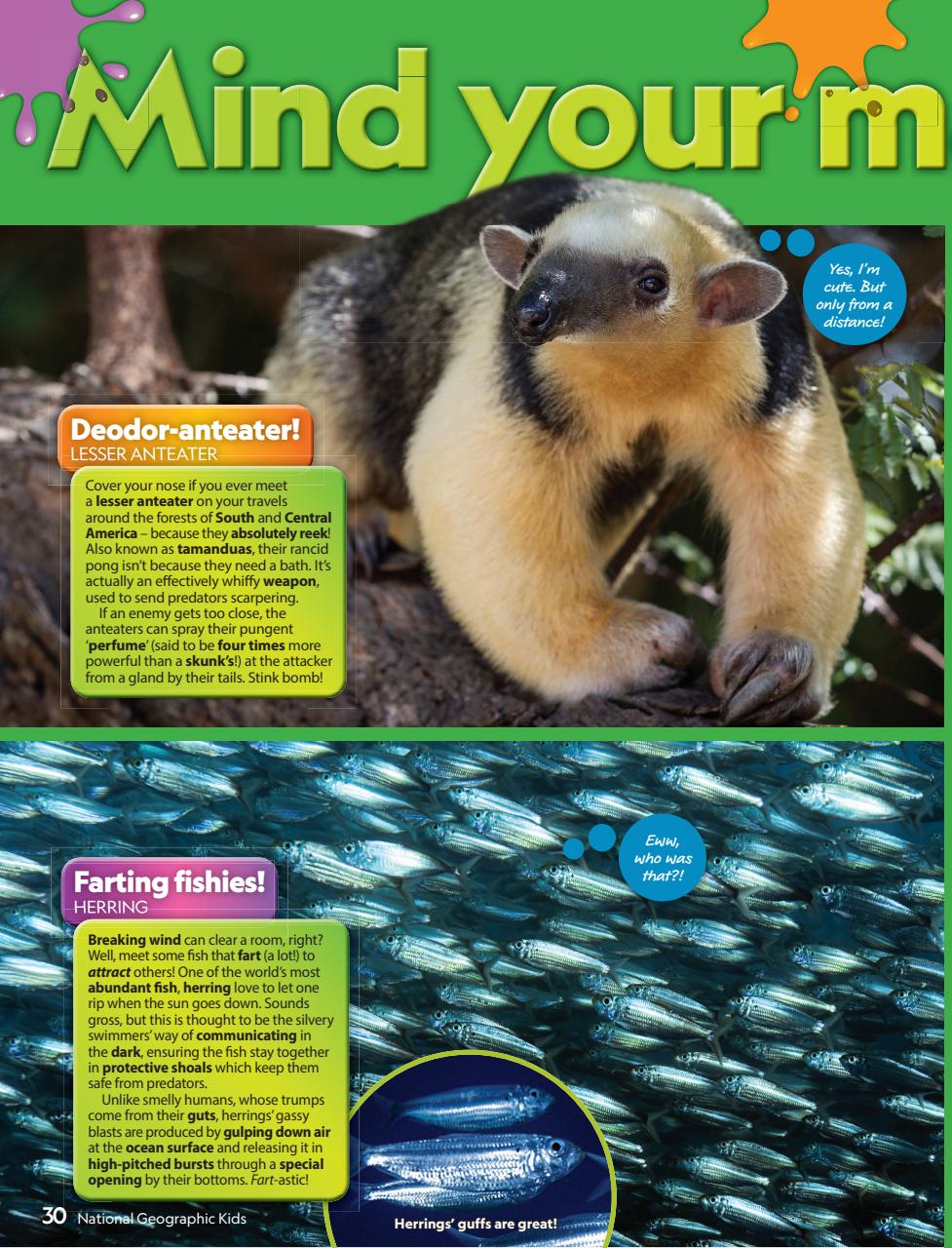 National Geographic Kids Preview Pages