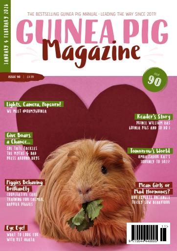 Guinea Pig Magazine issue 