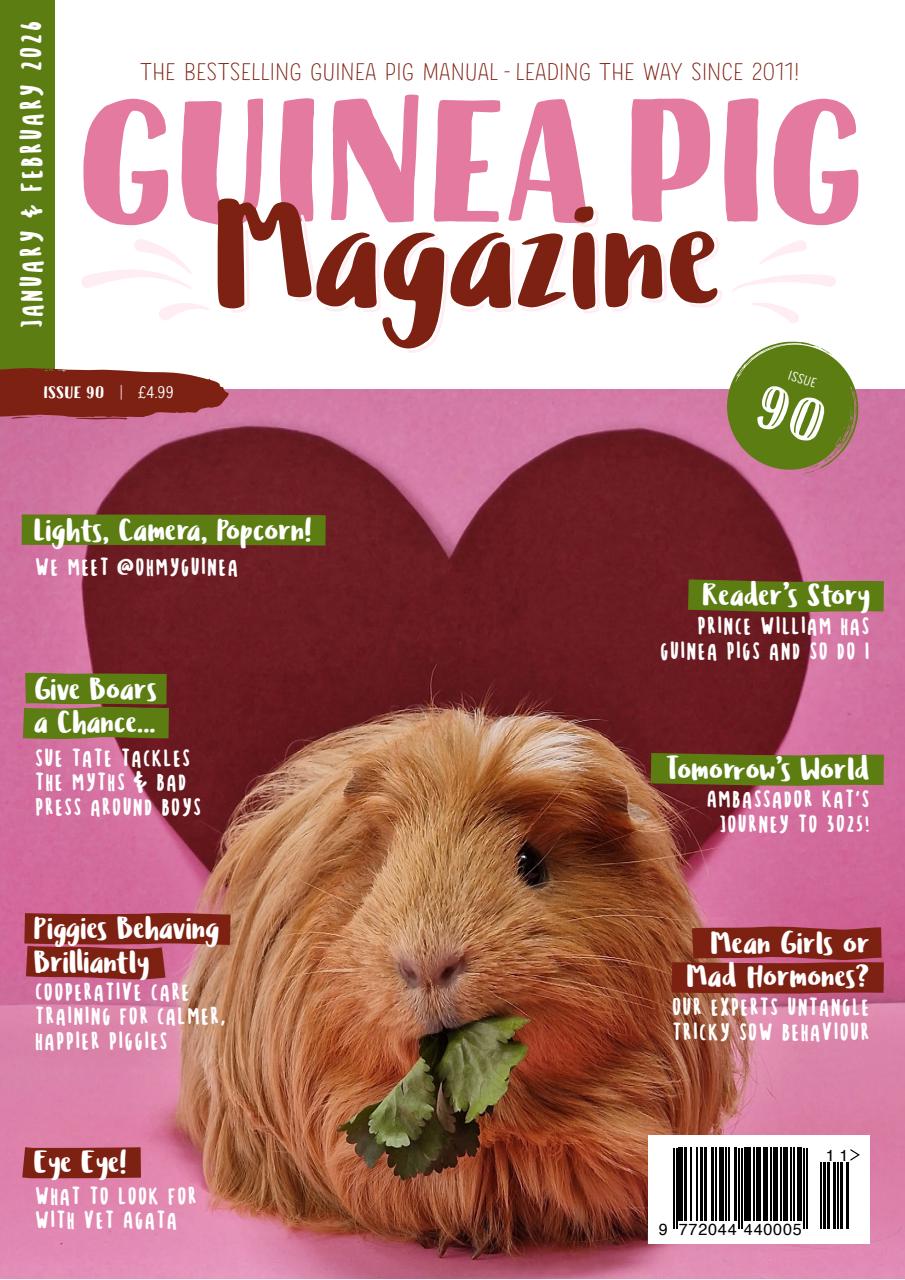 Guinea Pig Magazine Preview Pages