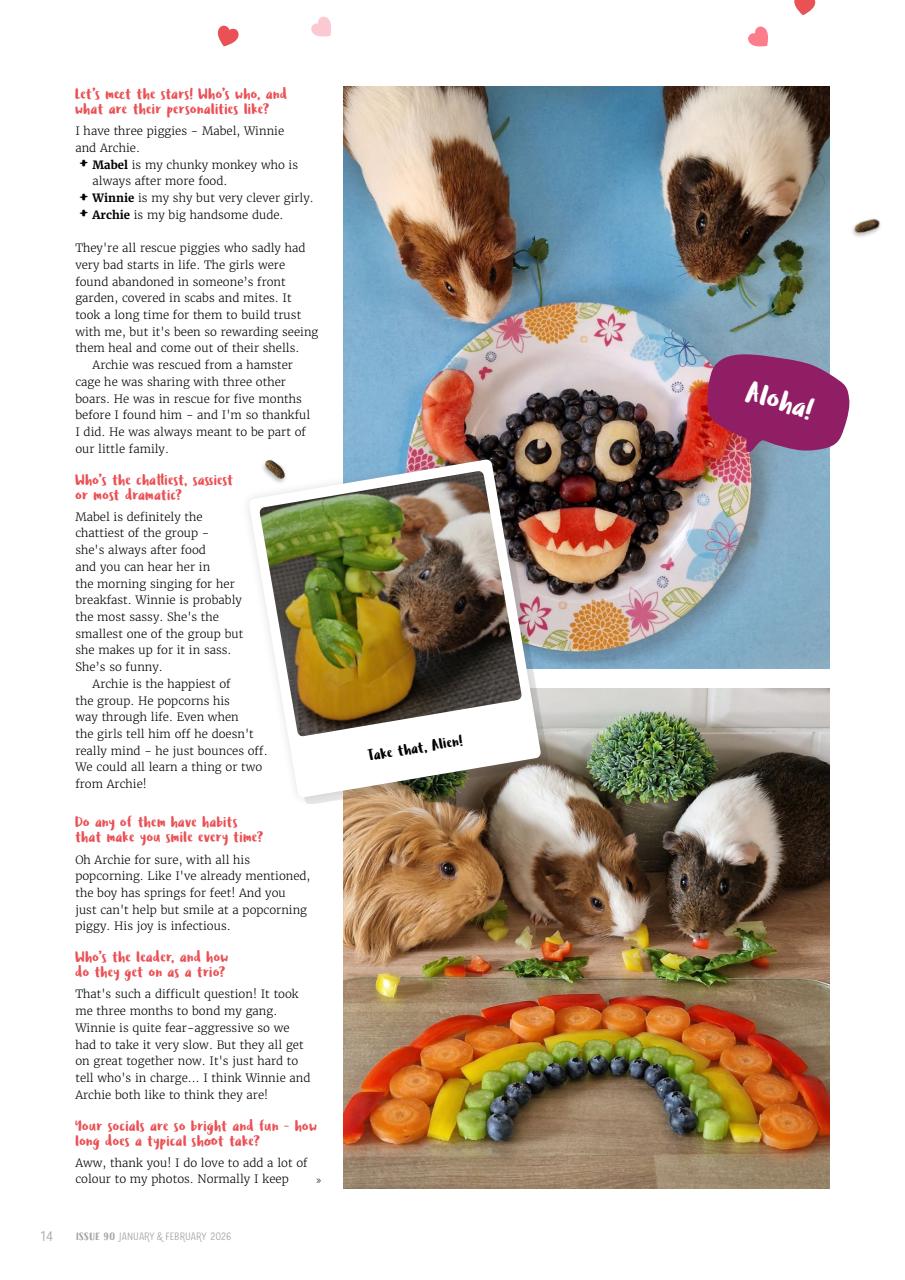 Guinea Pig Magazine Preview Pages