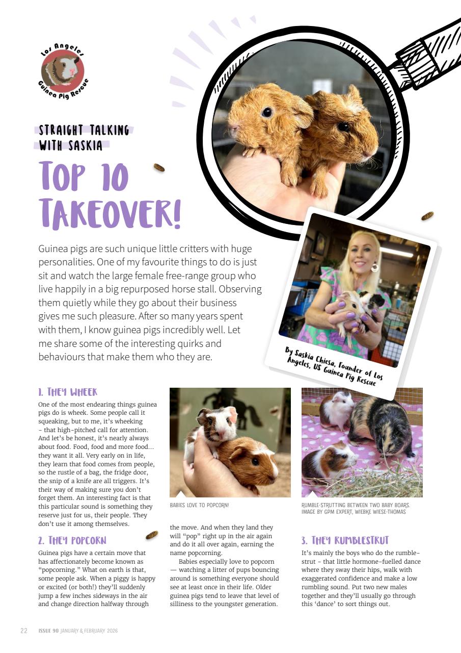 Guinea Pig Magazine Preview Pages