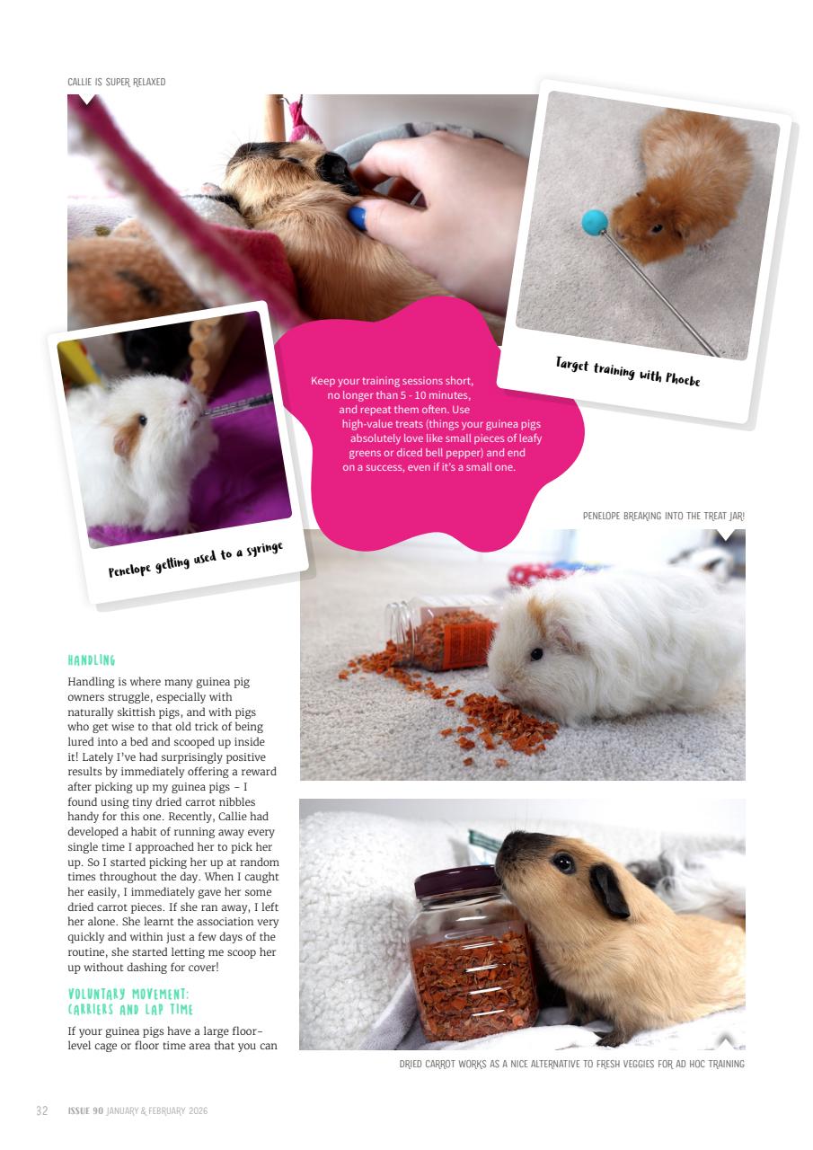 Guinea Pig Magazine Preview Pages