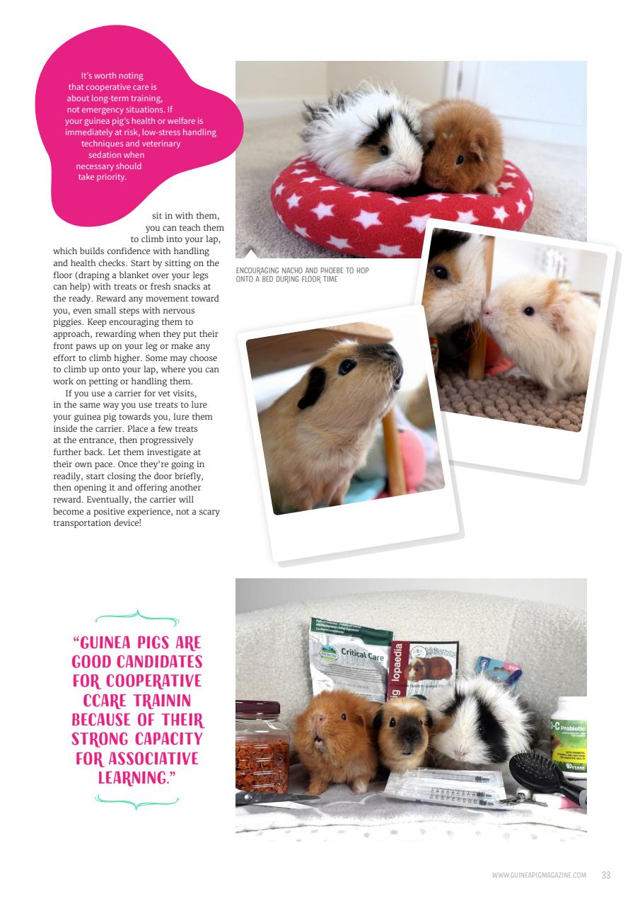 Guinea Pig Magazine Preview Pages