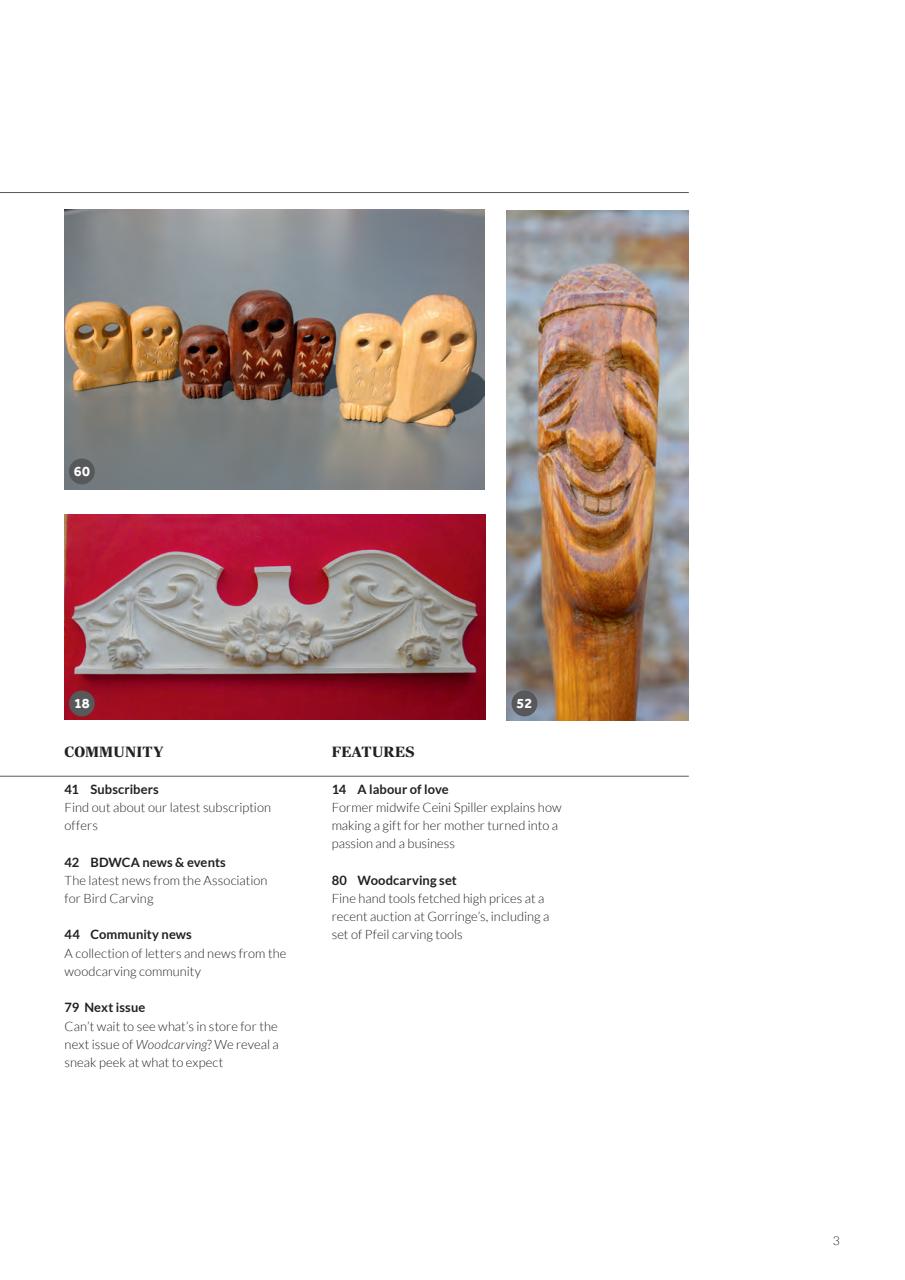 Woodcarving Preview Pages