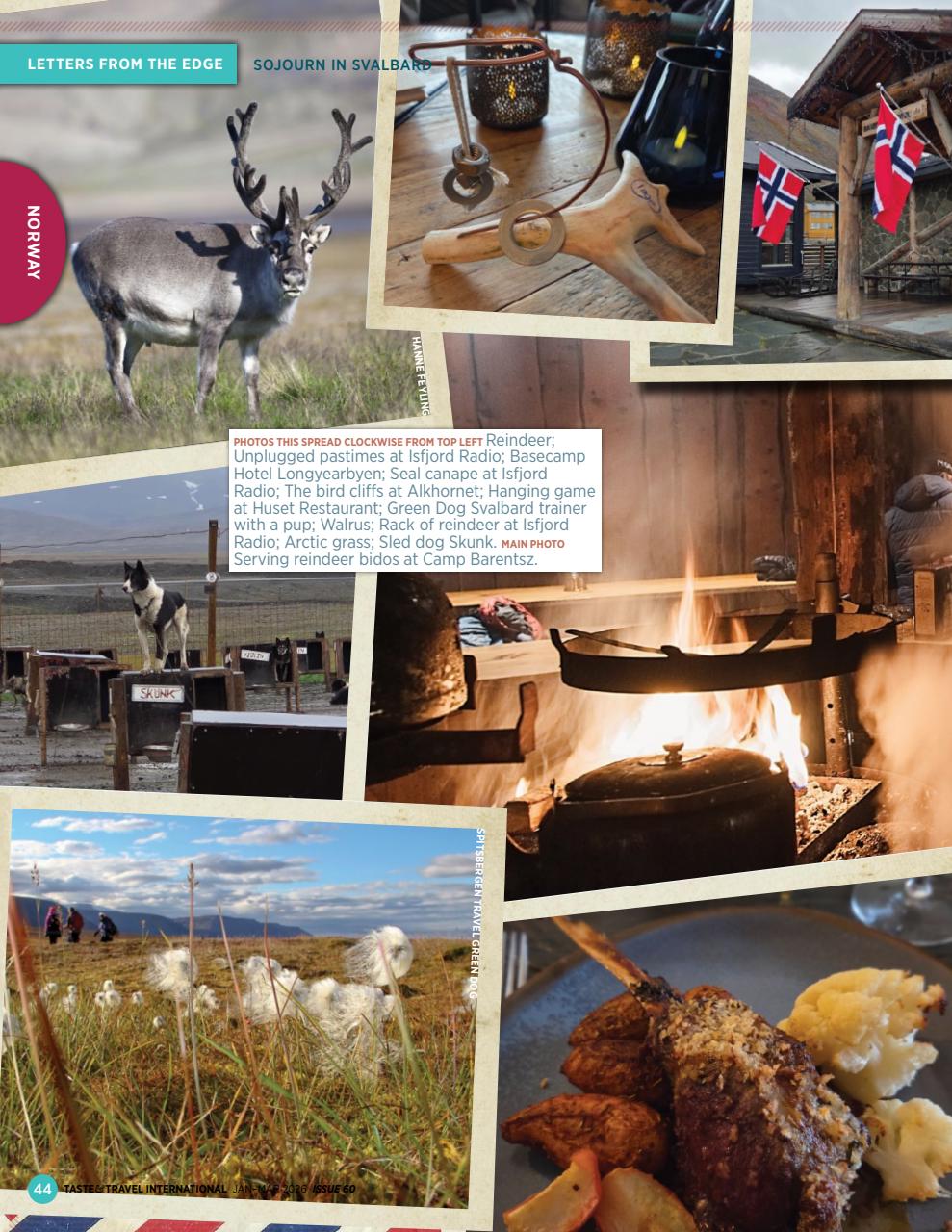 Taste & Travel International Preview Pages