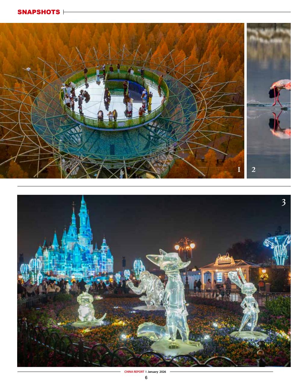 China Report Preview Pages