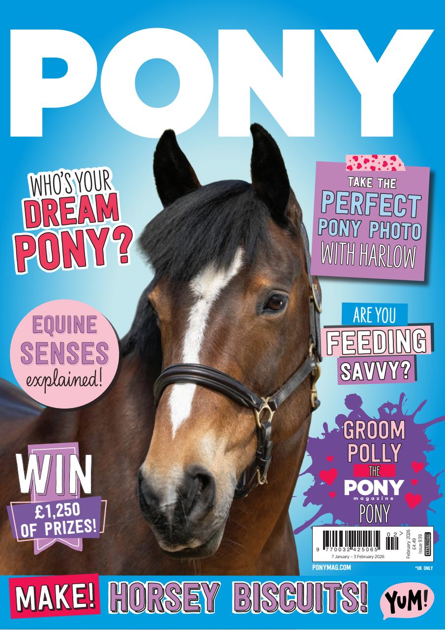 Pony Magazine Preview Pages