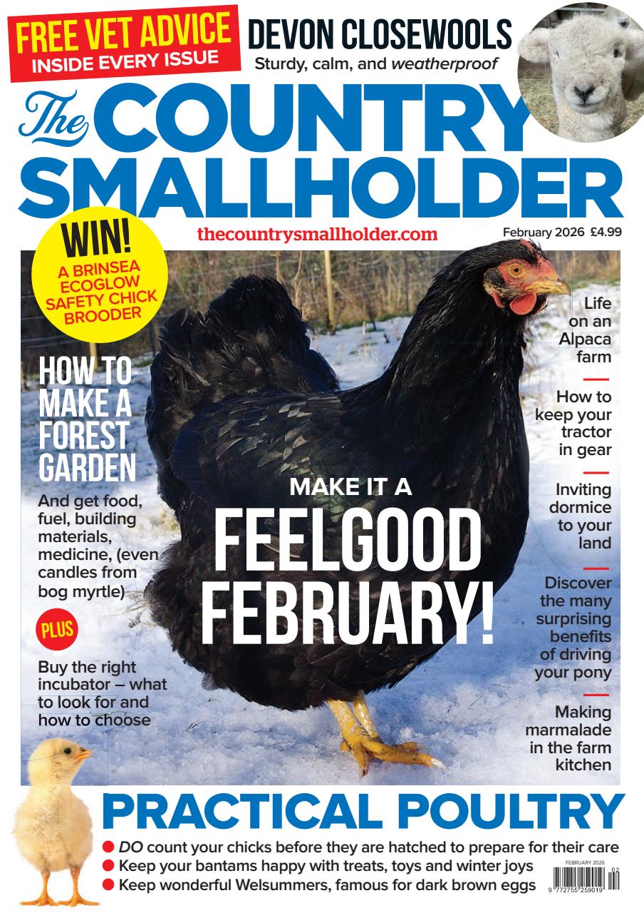 The Country Smallholder Preview Pages