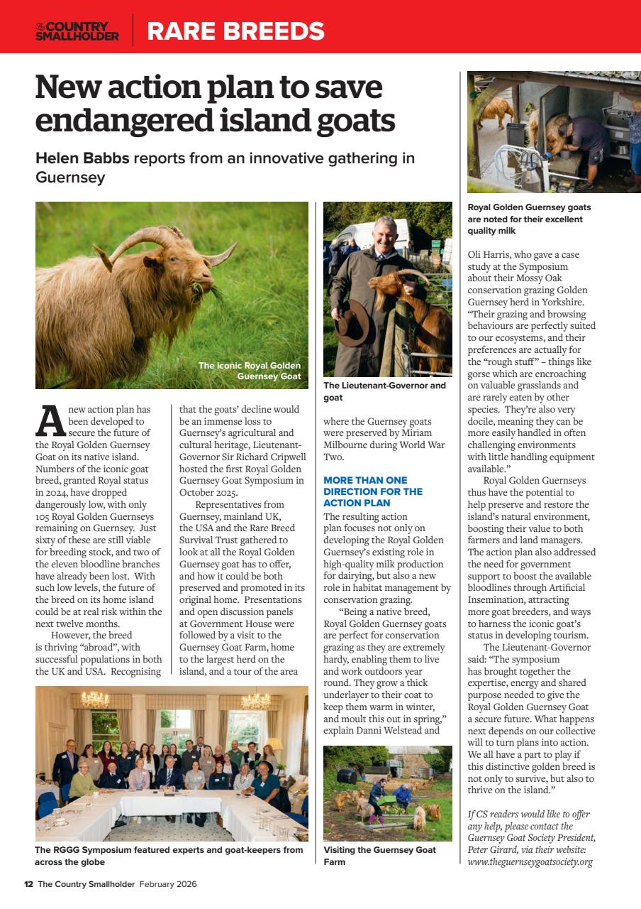 The Country Smallholder Preview Pages