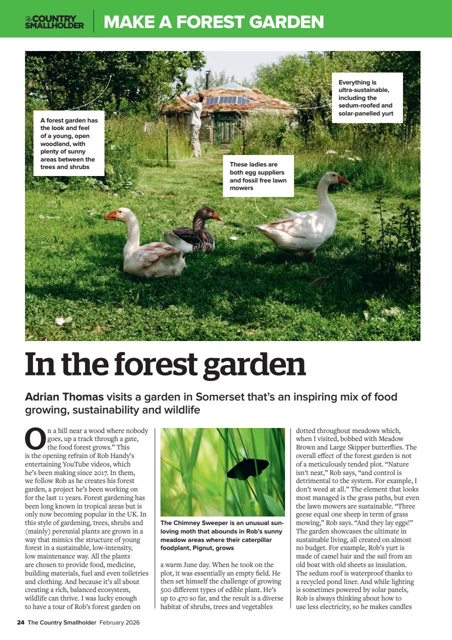 The Country Smallholder Preview Pages