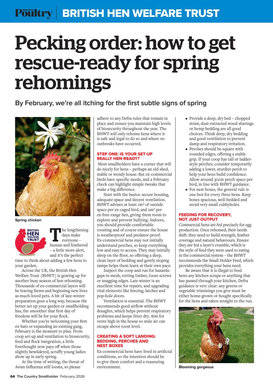 The Country Smallholder Preview Pages