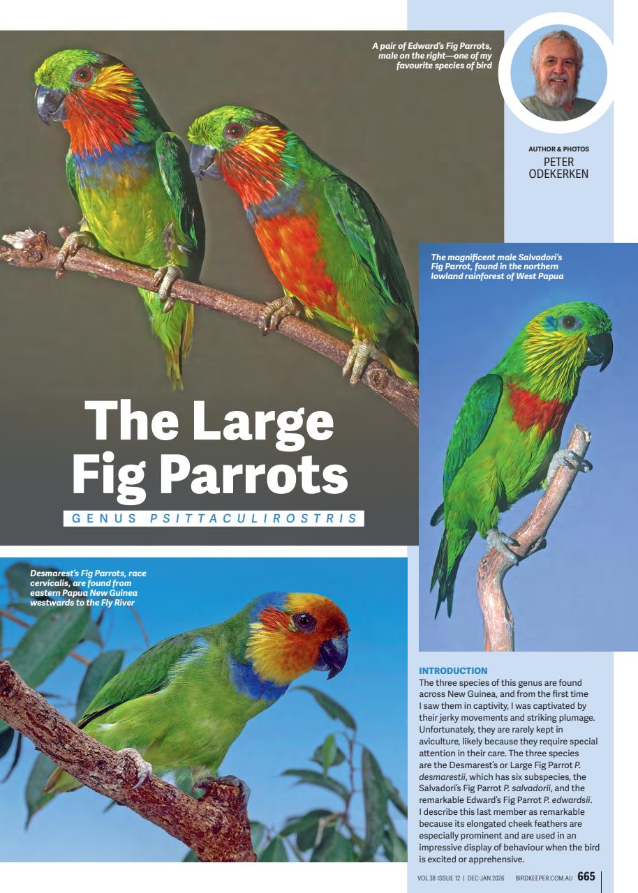 Australian Birdkeeper Magazine Preview Pages