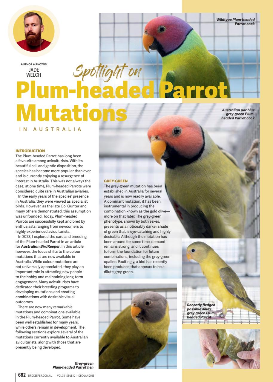 Australian Birdkeeper Magazine Preview Pages