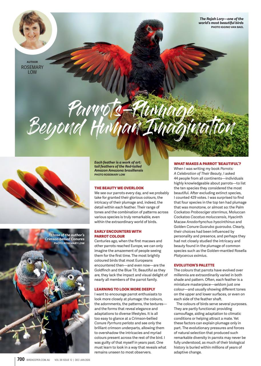 Australian Birdkeeper Magazine Preview Pages
