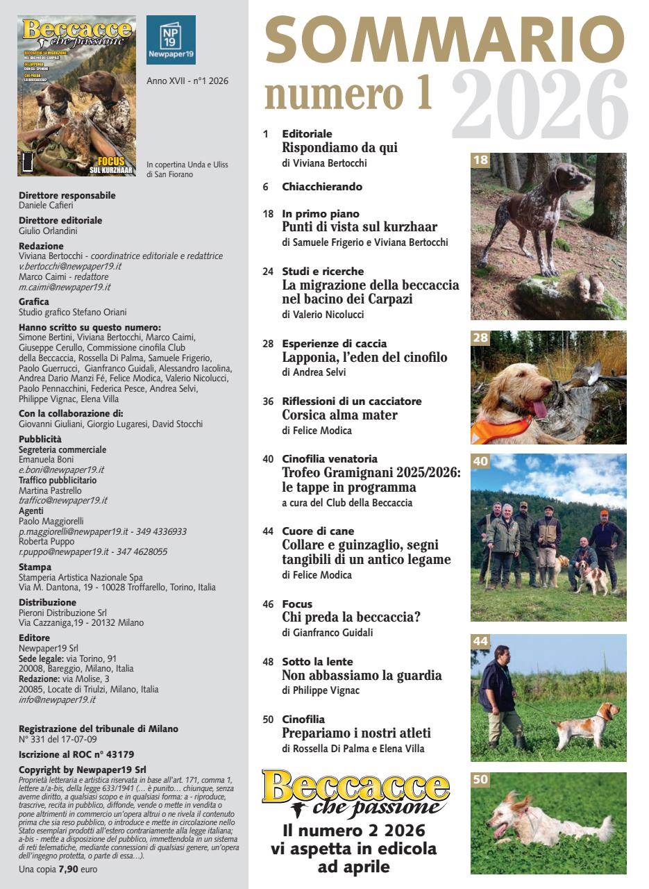 BECCACCE CHE PASSIONE Preview Pages