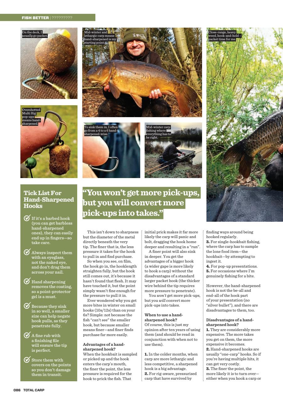 Total Carp Preview Pages