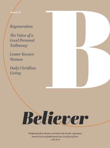 Believer Magazine issue 