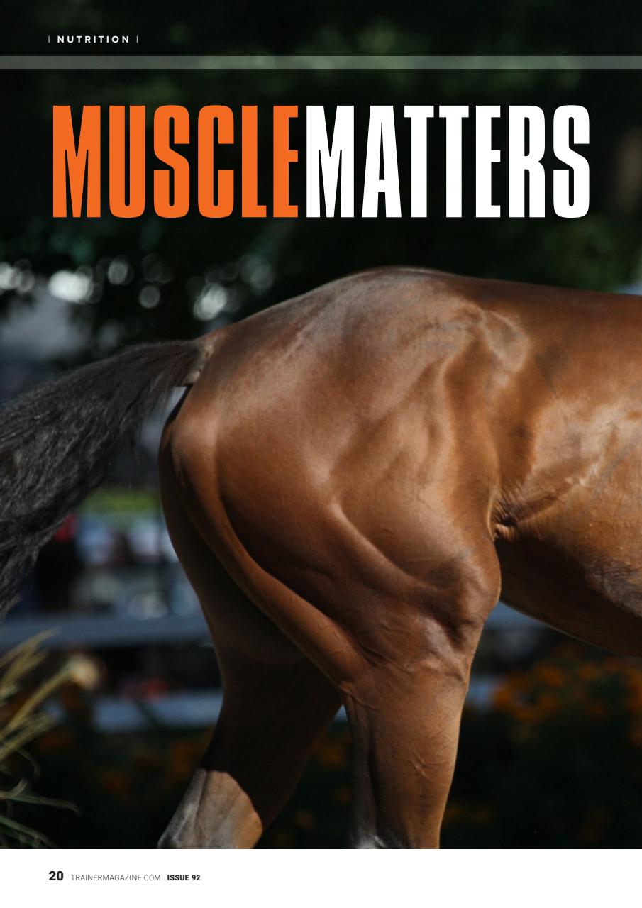 European Trainer Magazine - horse racing Preview Pages