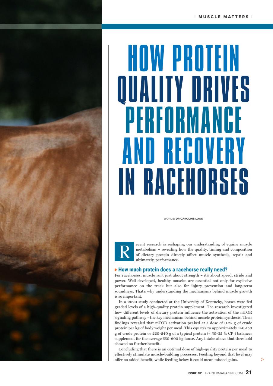 European Trainer Magazine - horse racing Preview Pages