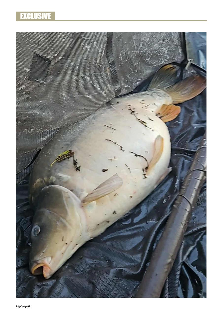 Big Carp Magazine Preview Pages