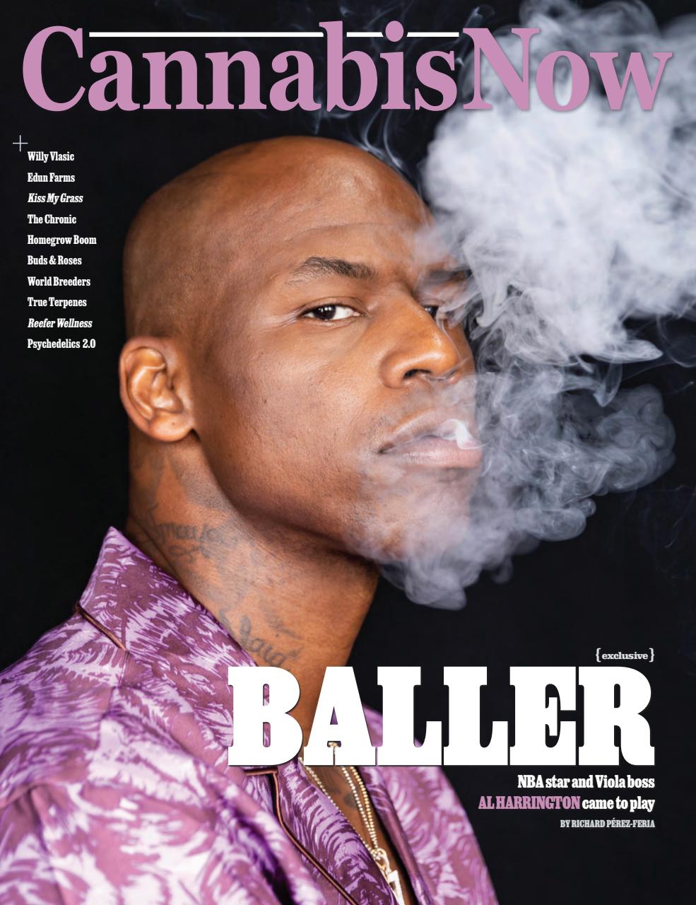 Cannabis Now Preview Pages