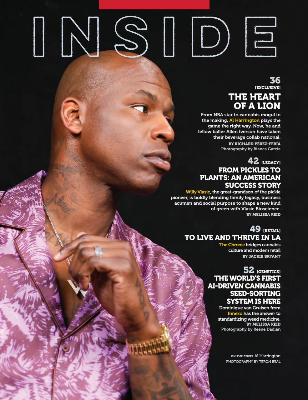 Cannabis Now Preview Pages