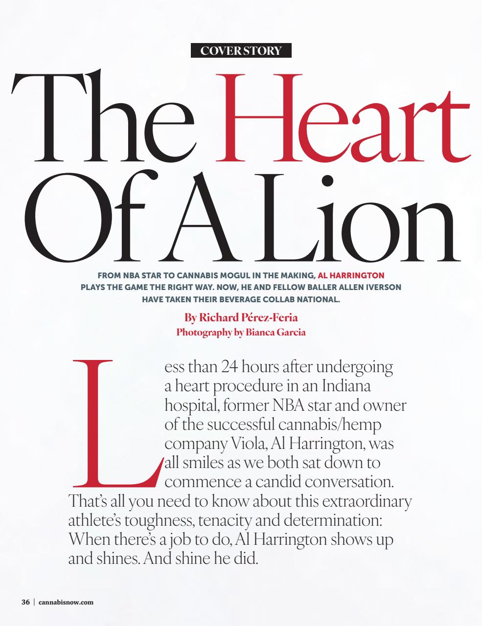 Cannabis Now Preview Pages