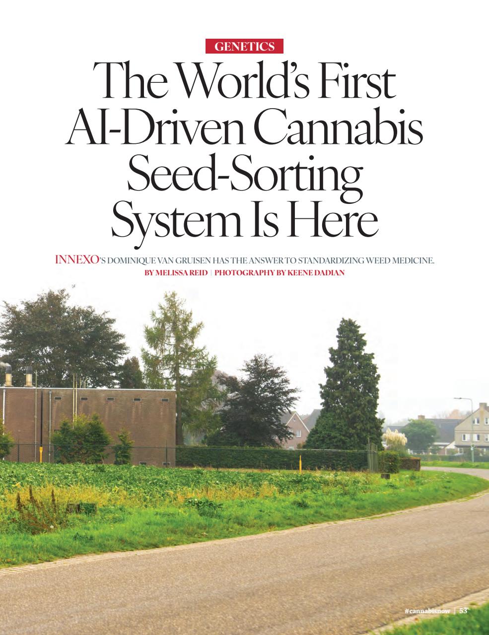 Cannabis Now Preview Pages