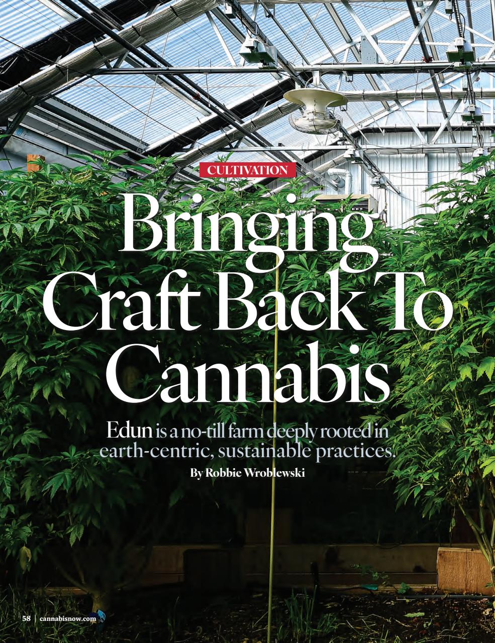 Cannabis Now Preview Pages