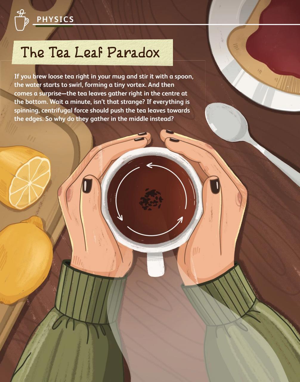 OYLA Magazine Preview Pages