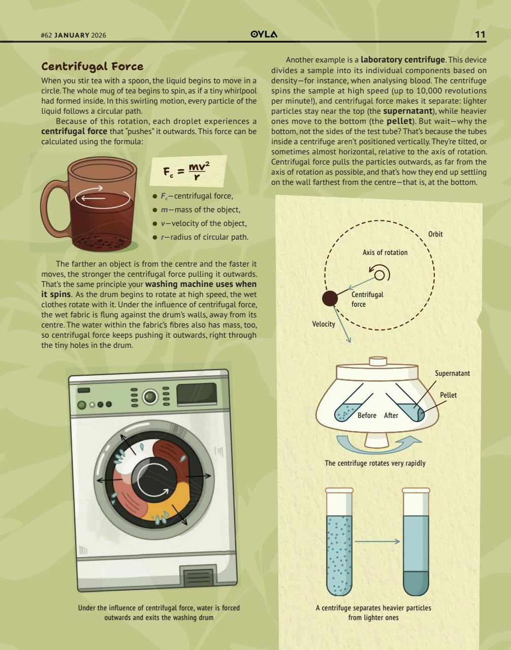 OYLA Magazine Preview Pages