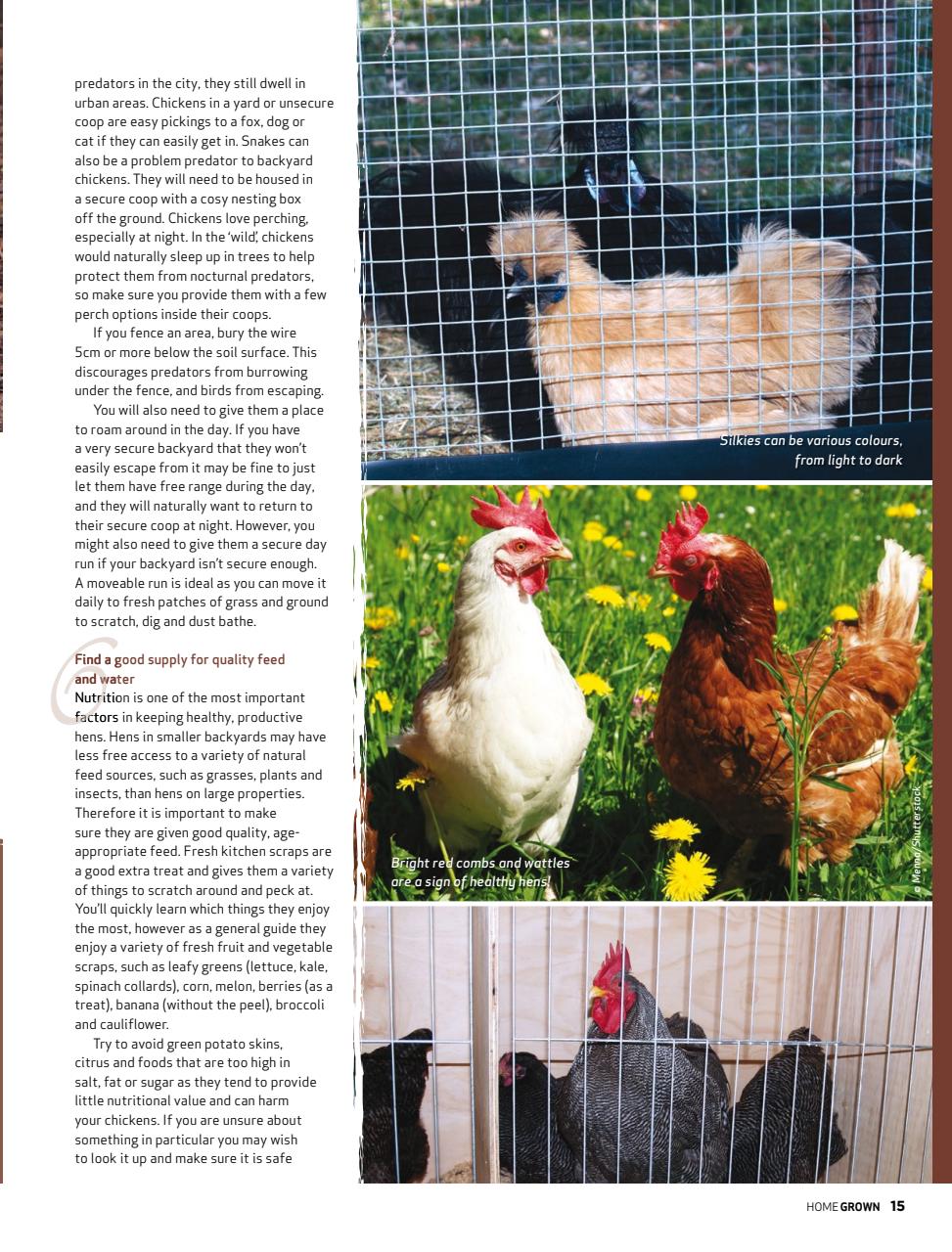 HomeGrown Preview Pages