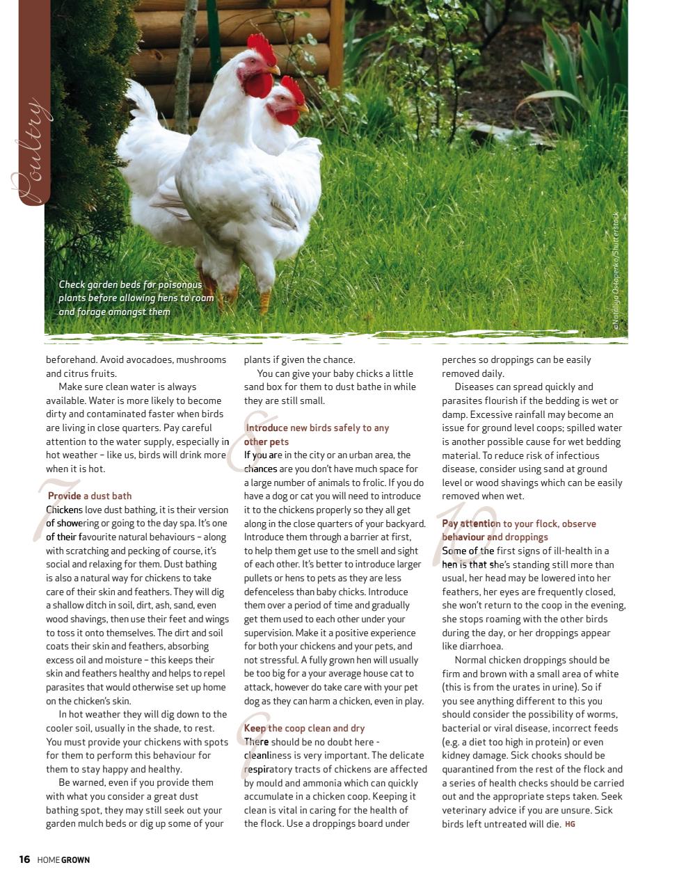 HomeGrown Preview Pages