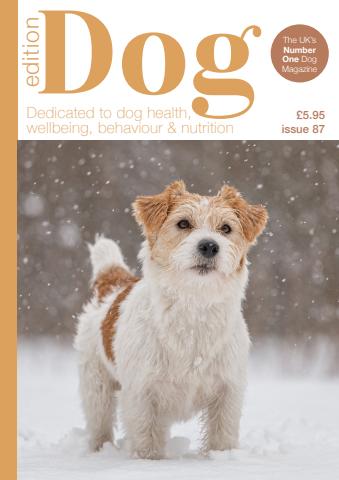 Edition Dog issue Edition Dog 87