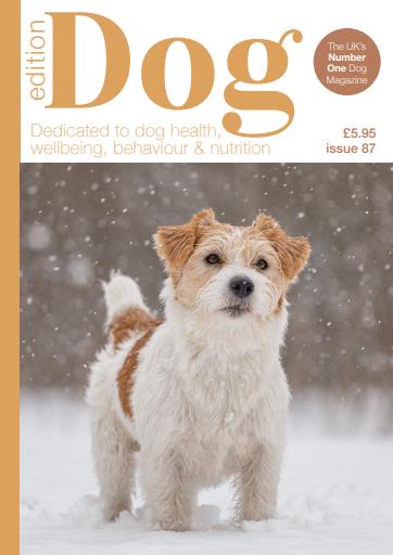 Edition Dog issue 