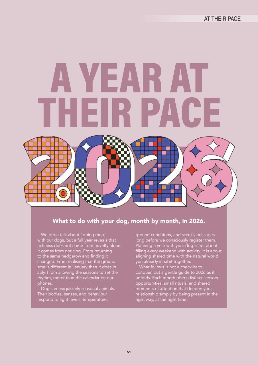 Edition Dog Preview Pages