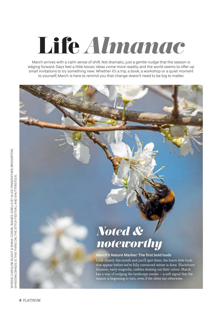 Platinum Preview Pages