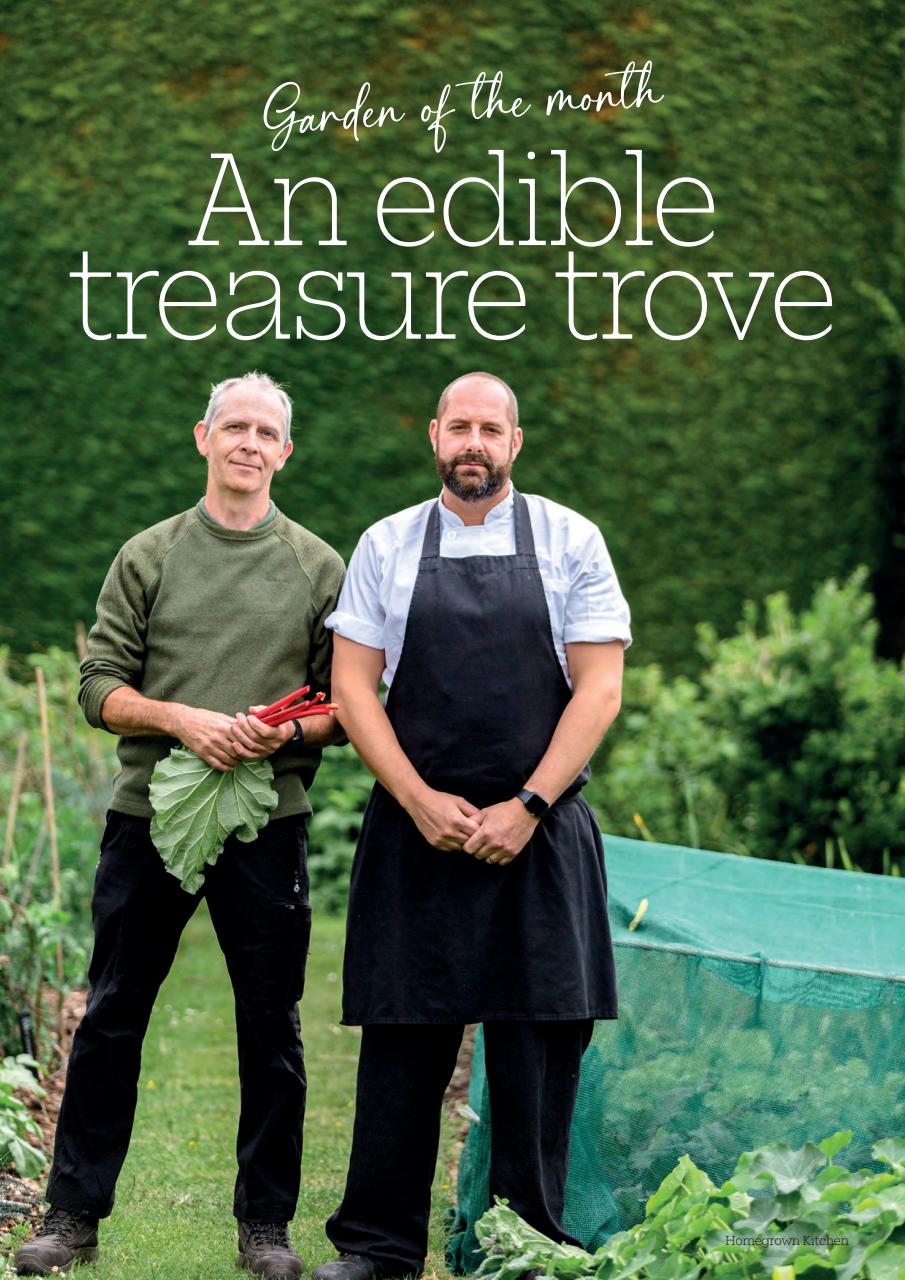 Homegrown Kitchen Preview Pages