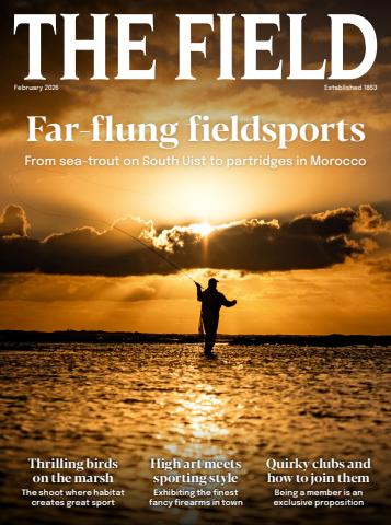 The Field issue February 2026