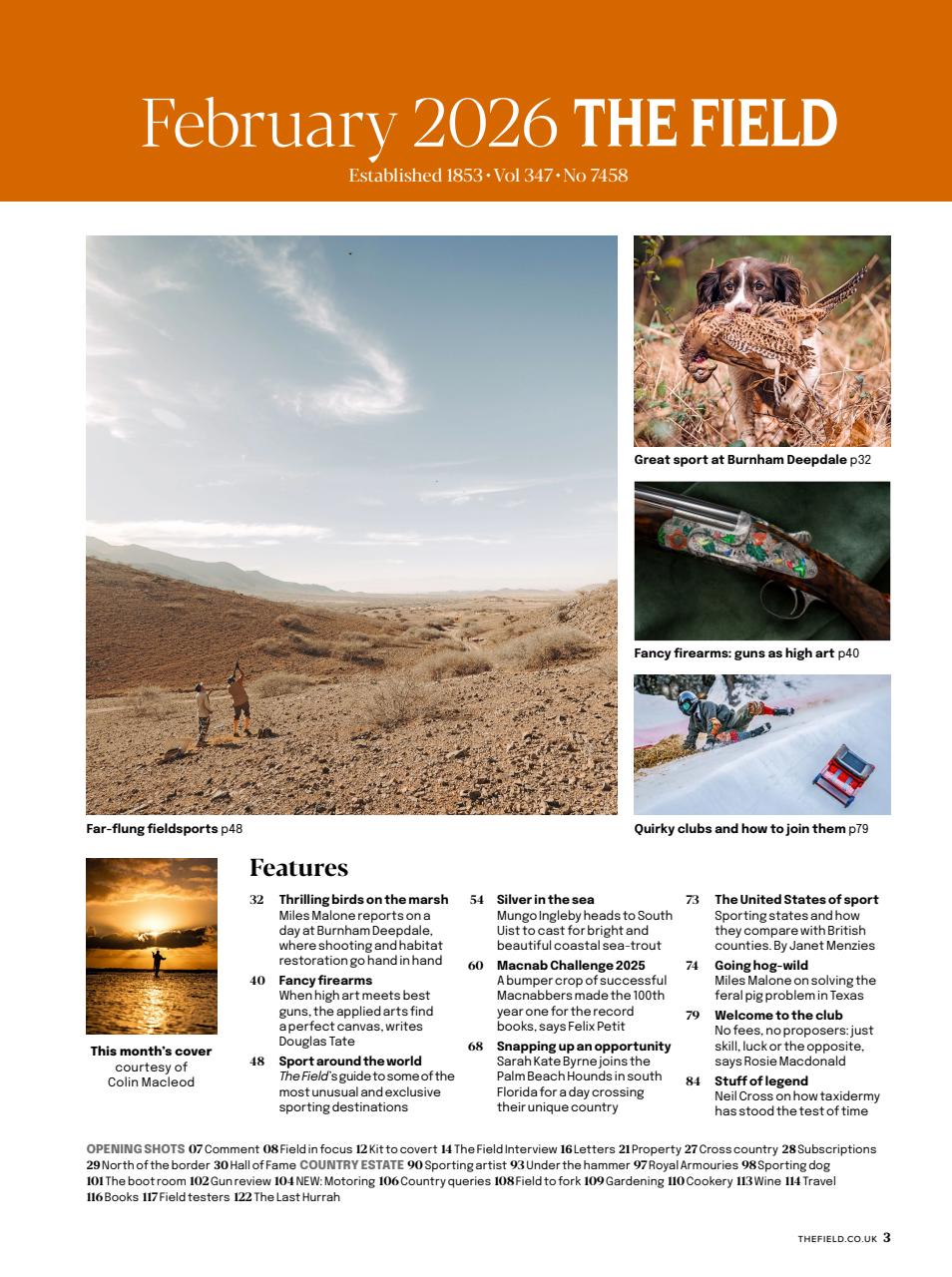 The Field Preview Pages