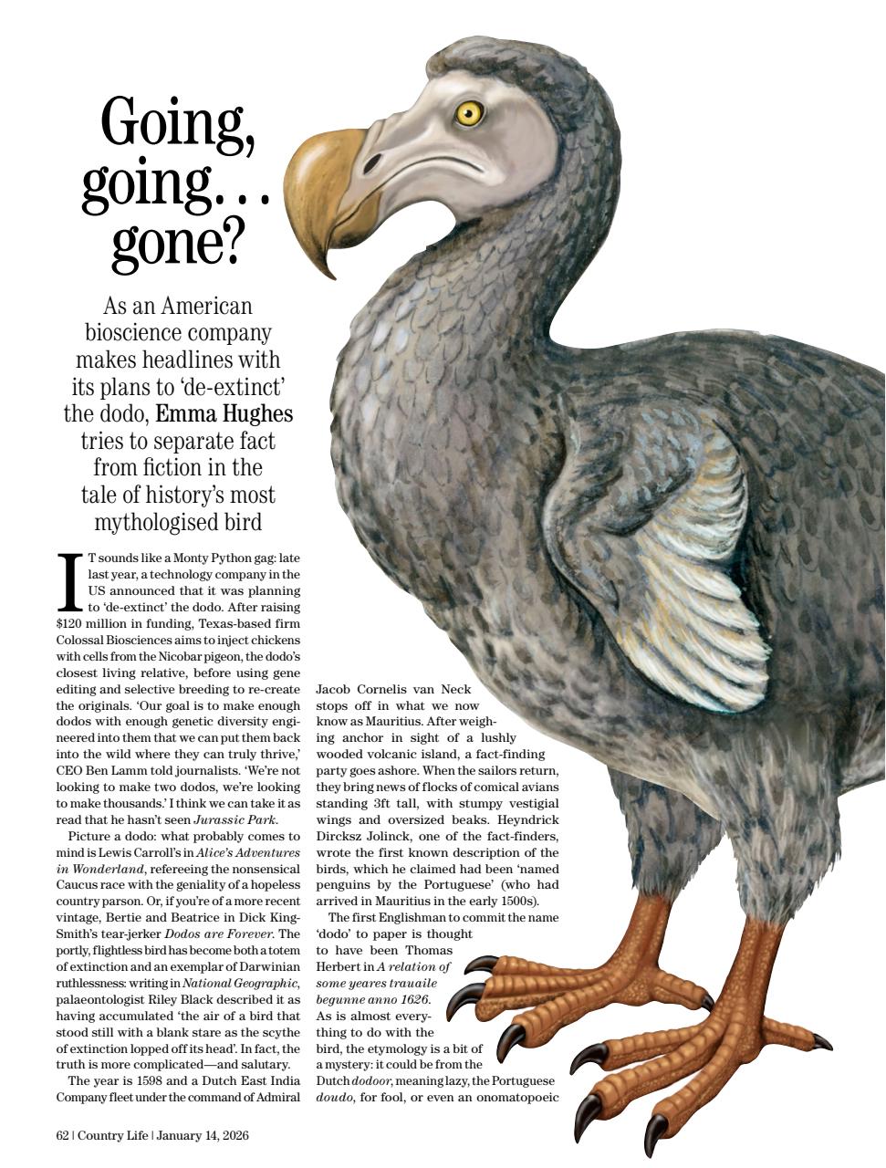 Country Life Preview Pages