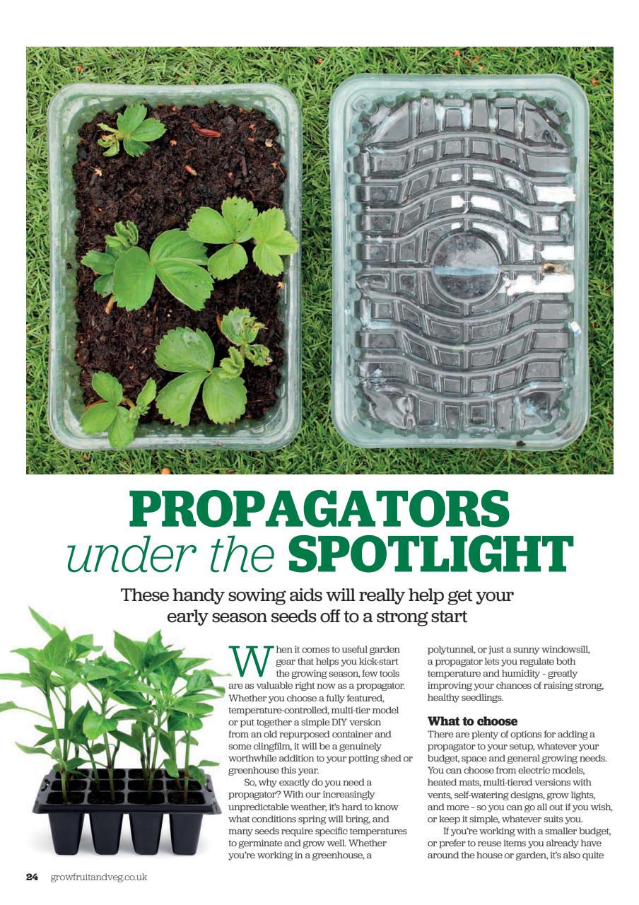 Grow Your Own Preview Pages