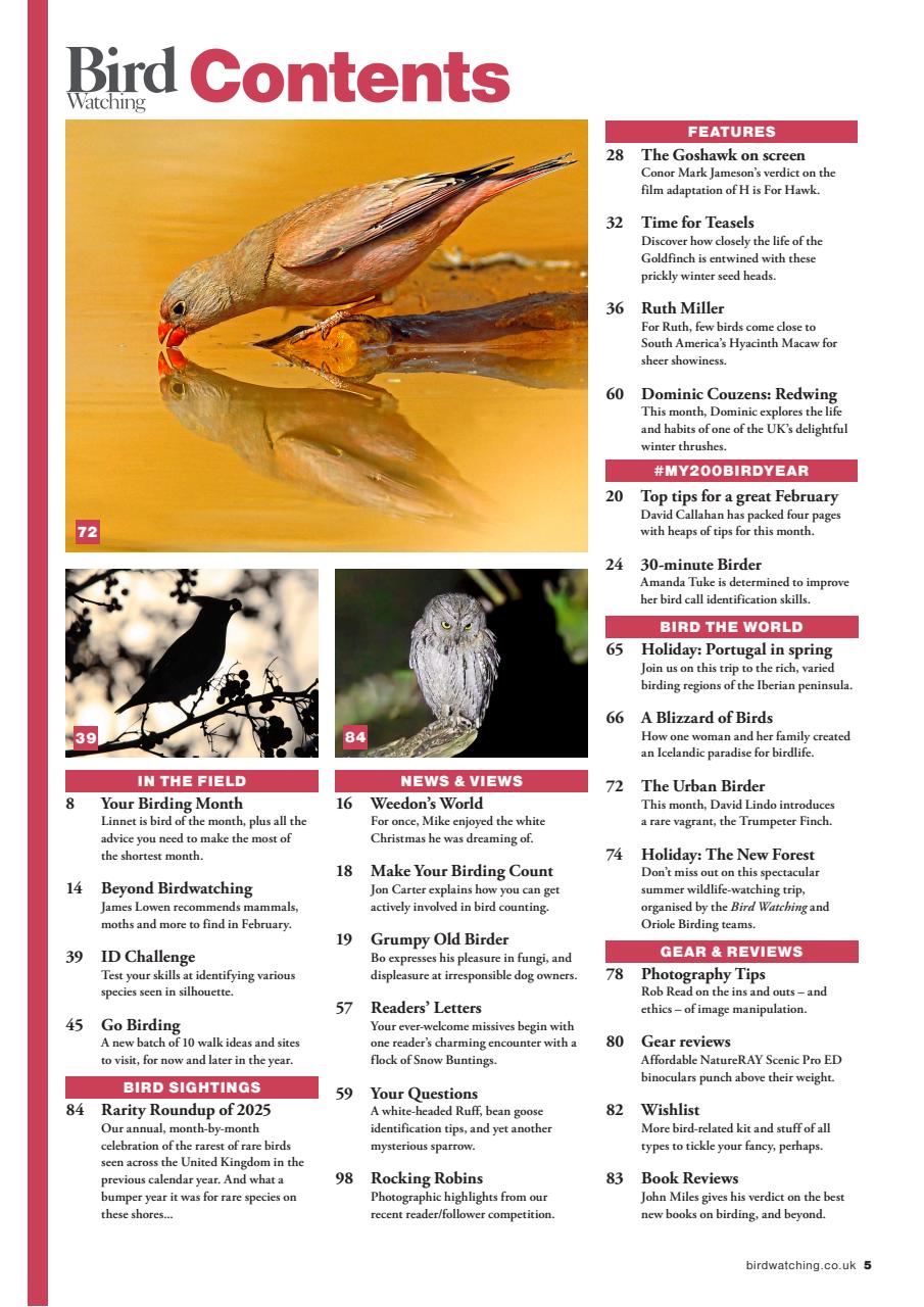 Bird Watching Preview Pages